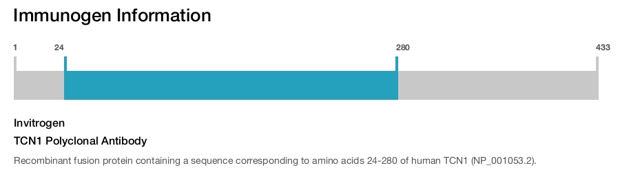 TCN1 Polyclonal Antibody