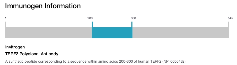 TERF2 Polyclonal Antibody