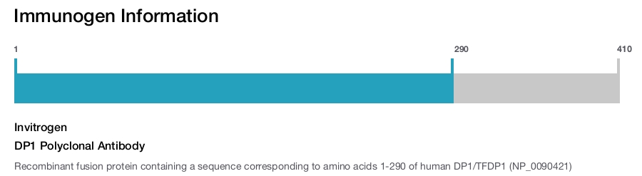 DP1 Polyclonal Antibody