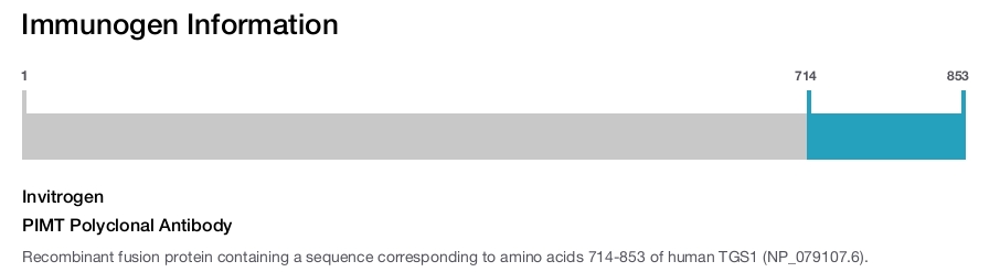 PIMT Polyclonal Antibody