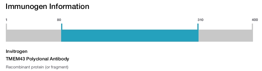 TMEM43 Polyclonal Antibody