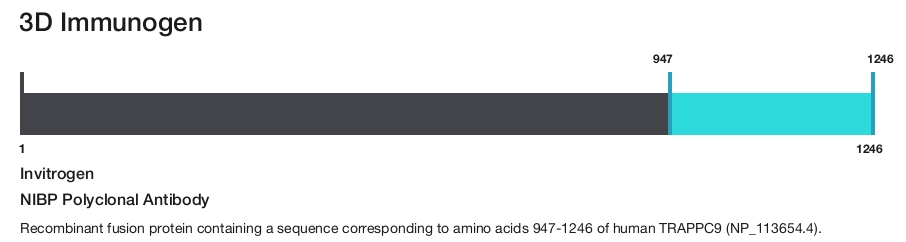 NIBP Polyclonal Antibody