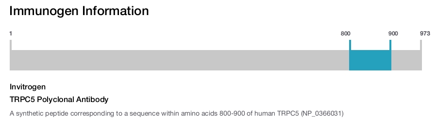 TRPC5 Polyclonal Antibody