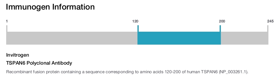 TSPAN6 Polyclonal Antibody