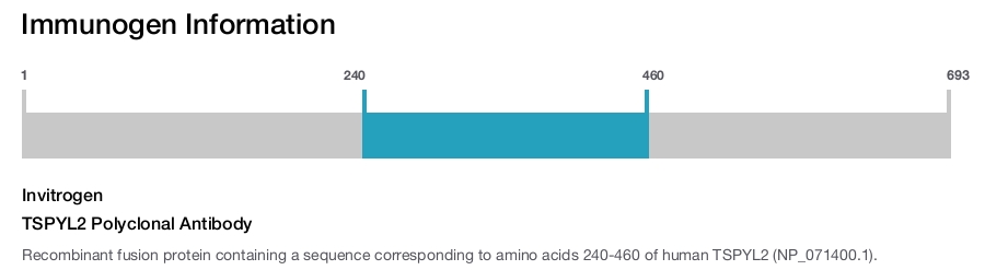 TSPYL2 Polyclonal Antibody