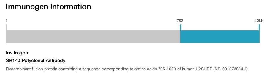 SR140 Polyclonal Antibody