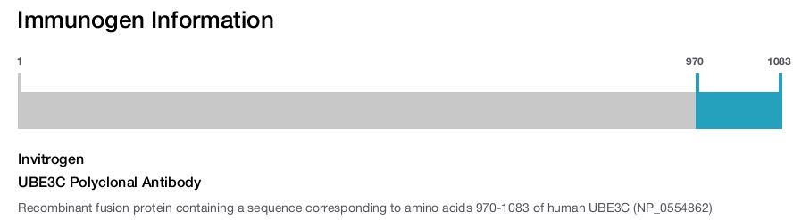 UBE3C Polyclonal Antibody