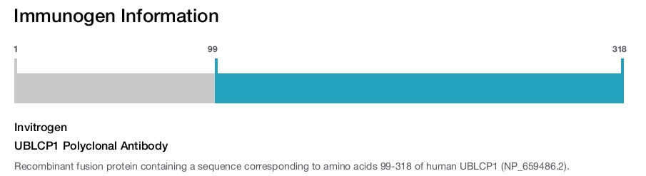 UBLCP1 Polyclonal Antibody