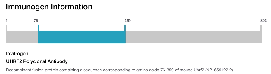 UHRF2 Polyclonal Antibody