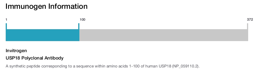 USP18 Polyclonal Antibody