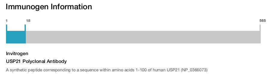 USP21 Polyclonal Antibody