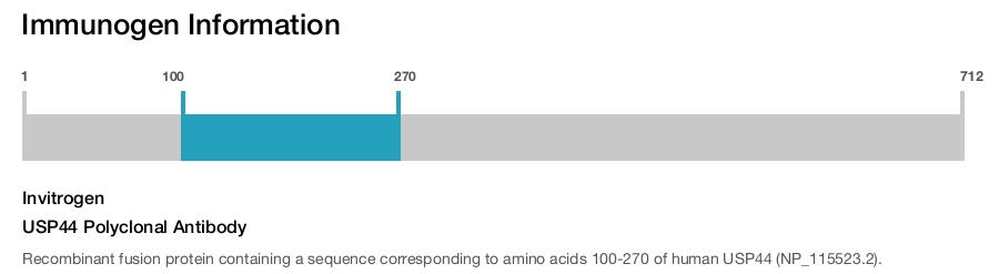 USP44 Polyclonal Antibody