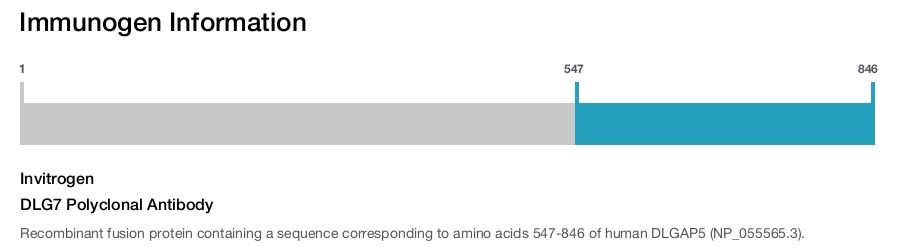 DLG7 Polyclonal Antibody