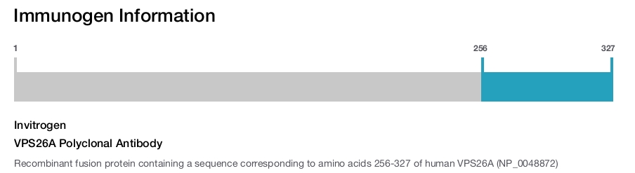 VPS26A Polyclonal Antibody