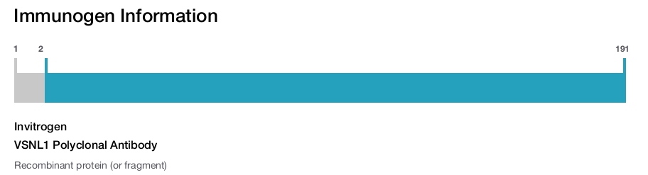 VSNL1 Polyclonal Antibody