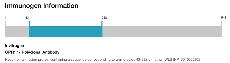 GPR177 Polyclonal Antibody