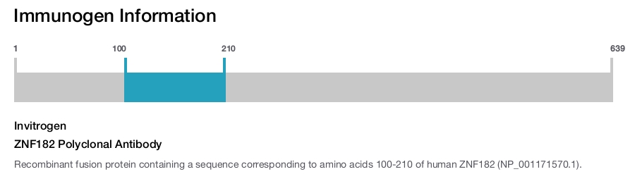 ZNF182 Polyclonal Antibody