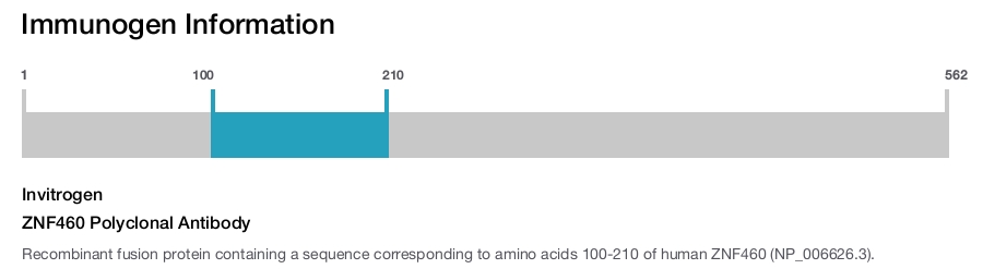 ZNF460 Polyclonal Antibody