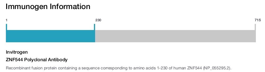 ZNF544 Polyclonal Antibody