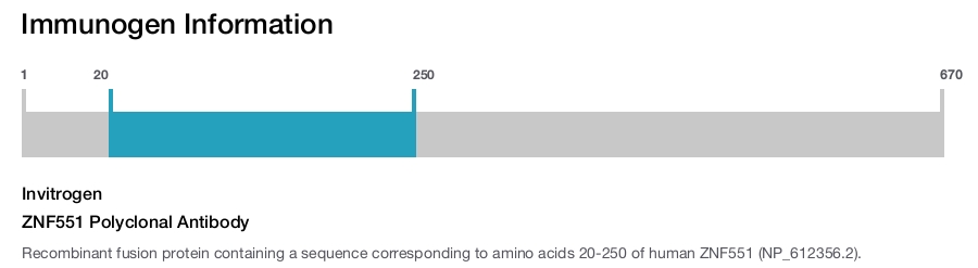 ZNF551 Polyclonal Antibody
