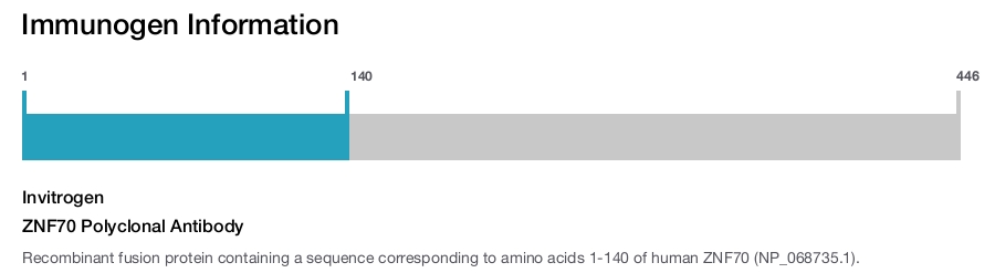 ZNF70 Polyclonal Antibody