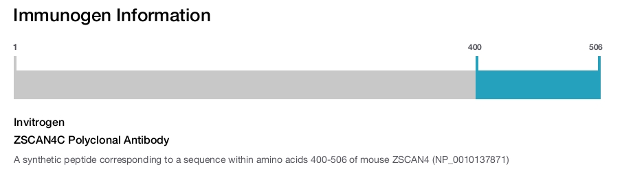 ZSCAN4C Polyclonal Antibody