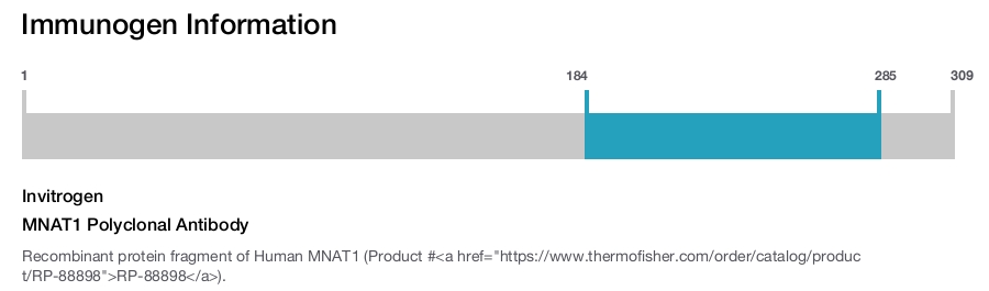 MNAT1 Polyclonal Antibody