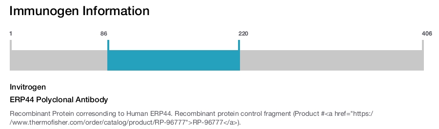 ERP44 Polyclonal Antibody