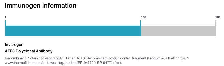 ATF3 Polyclonal Antibody