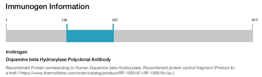 Dopamine beta Hydroxylase Polyclonal Antibody