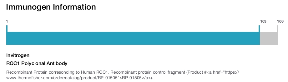 ROC1 Polyclonal Antibody