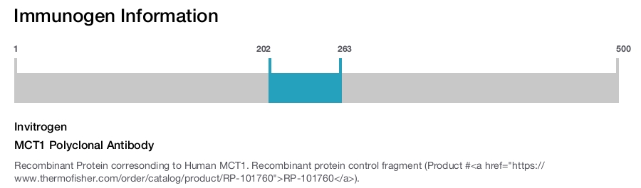 MCT1 Polyclonal Antibody