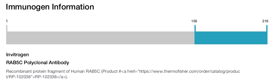 RAB5C Polyclonal Antibody