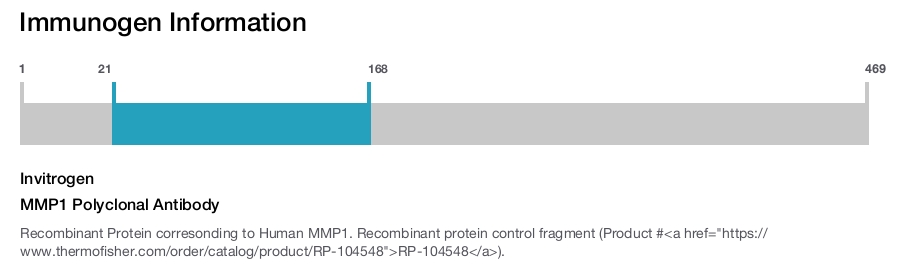 MMP1 Polyclonal Antibody