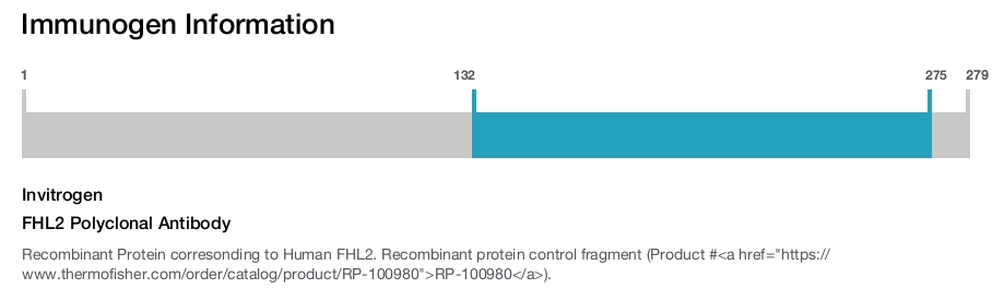 FHL2 Polyclonal Antibody