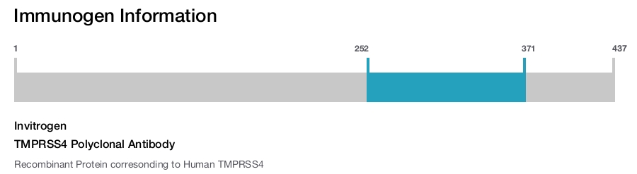 TMPRSS4 Polyclonal Antibody