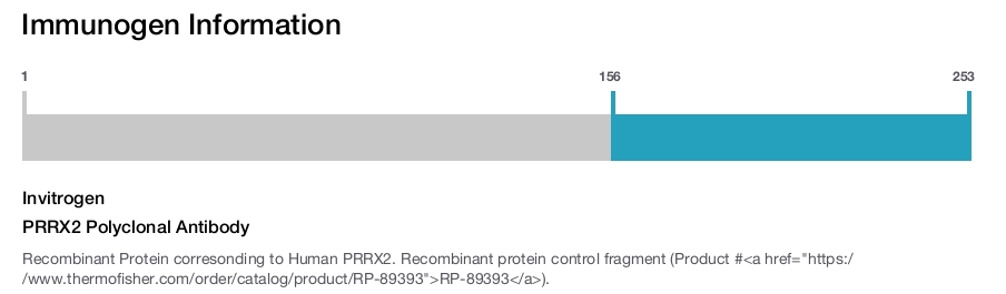 PRRX2 Polyclonal Antibody