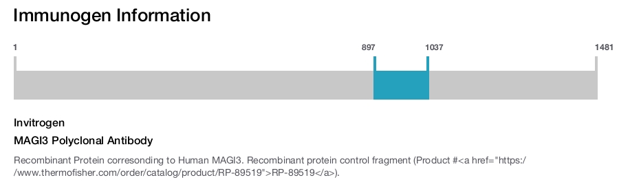 MAGI3 Polyclonal Antibody