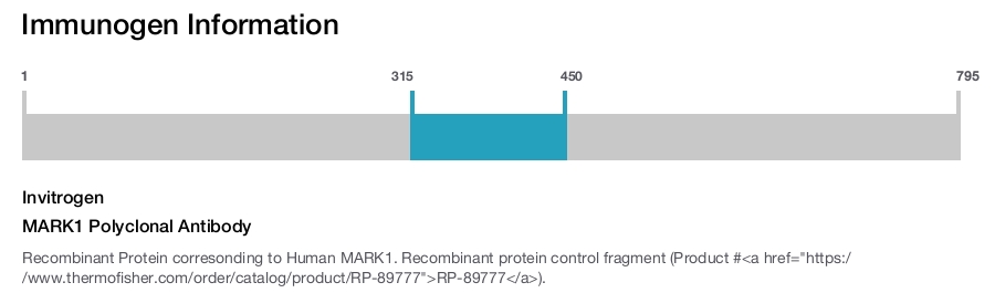 MARK1 Polyclonal Antibody
