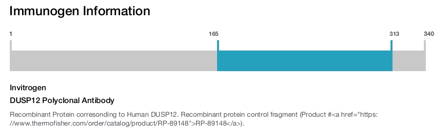 DUSP12 Polyclonal Antibody