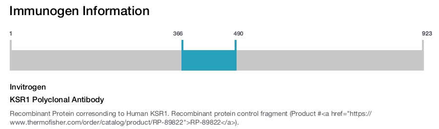 KSR1 Polyclonal Antibody