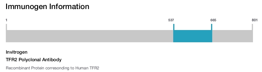 TFR2 Polyclonal Antibody