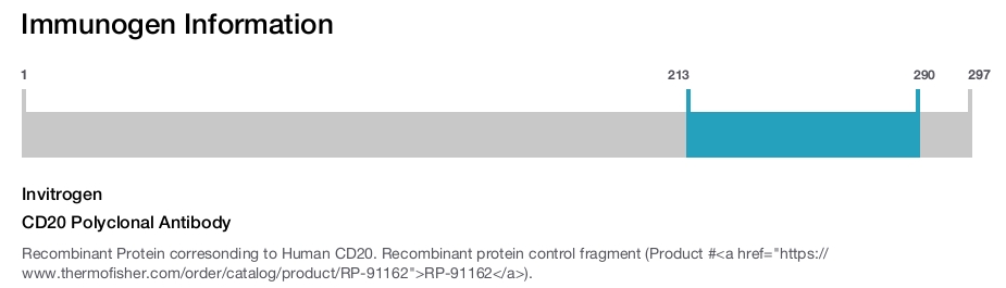 CD20 Polyclonal Antibody