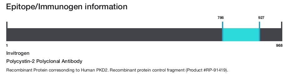 Polycystin-2 Polyclonal Antibody