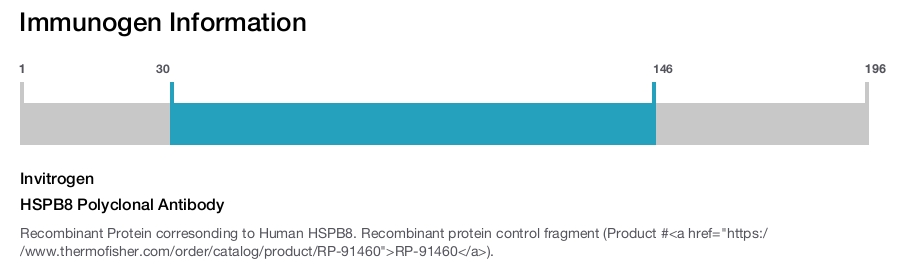 HSPB8 Polyclonal Antibody