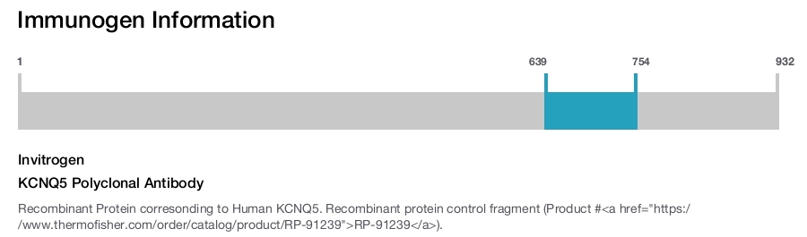 KCNQ5 Polyclonal Antibody