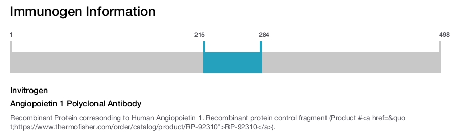 Angiopoietin 1 Polyclonal Antibody