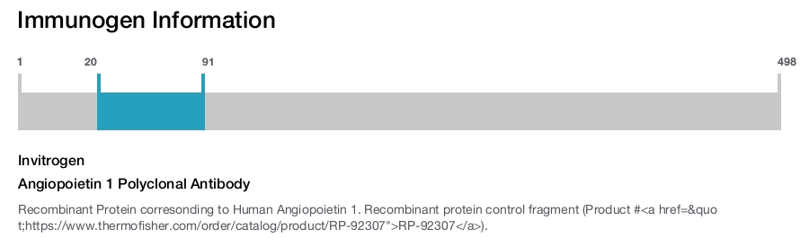 Angiopoietin 1 Polyclonal Antibody