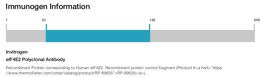 eIF4E2 Polyclonal Antibody