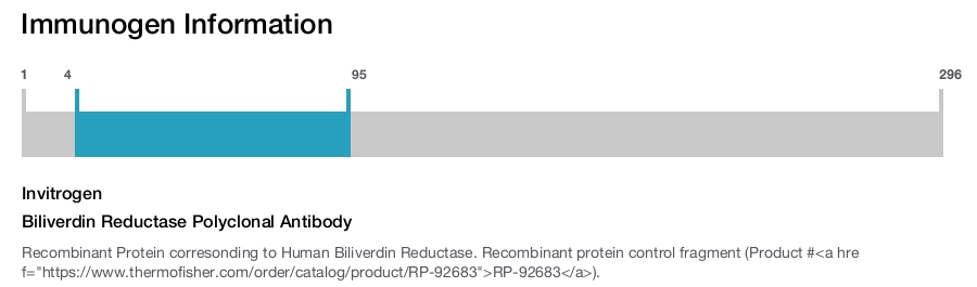 Biliverdin Reductase Polyclonal Antibody